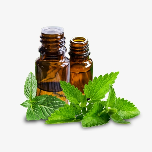 Mint Leaf Extract Pure Natural Cosmetic Grade Peppermint Extract  Herabl Extract Liquid