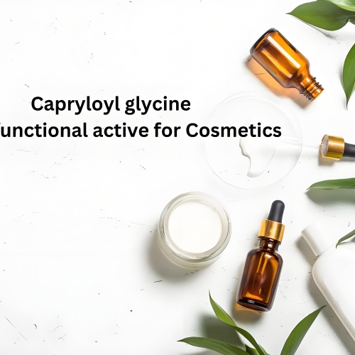 Organic Caprylylglycine Capryloyl Glycine with CAS 14246-53-8 Good Functional Component for Cosmetics 14246-53-8 Raw Material