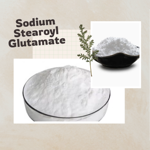 Hot Sale Sodium Stearoyl Glutamate with High Quality for Cosmetic Use CAS 38517-23-6