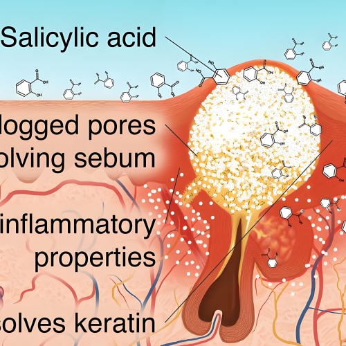 Supply High Quality Cosmetic Grade Raw Materials CAS 69-72-7 Salicylic Acid Powder in Bulk